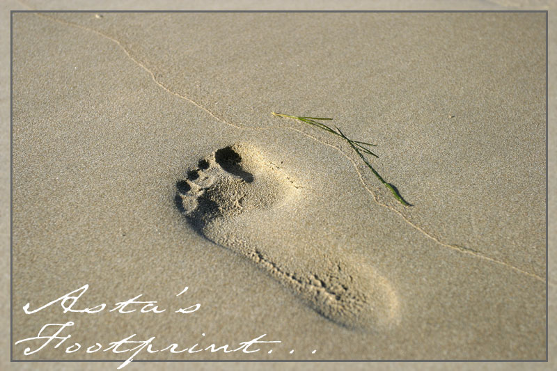 Asta's Footprint